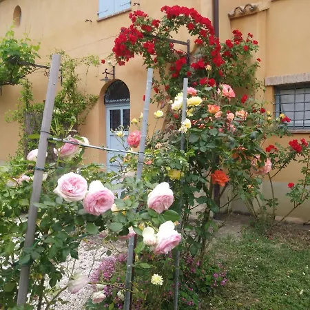 Casa Dei Ciliegi * San Lorenzo in Campo