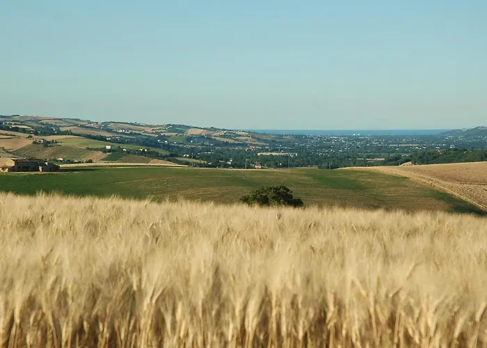 Διαμέρισμα Casa Dei Ciliegi San Lorenzo in Campo